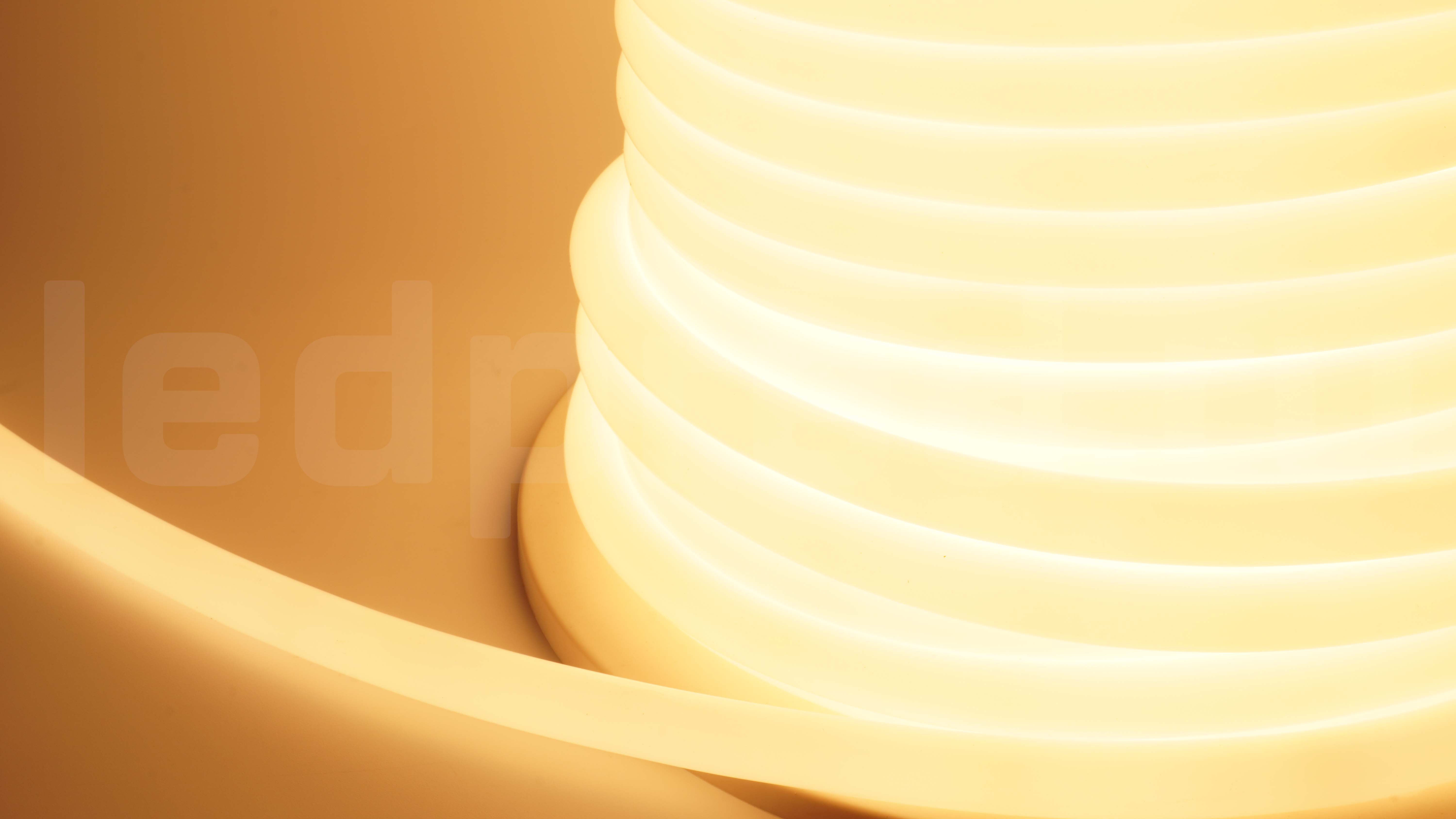 Неон круглый 220V, цвет теплый белый NEONTHIN-CIRCLE-220-WW-SILICONE-16-MEN