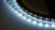 Светодиодная лента AS-6W-60-11000K-IP65-LC